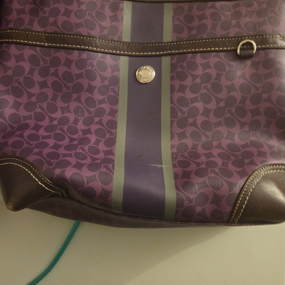 Coach Purple and Brown Signature Tote